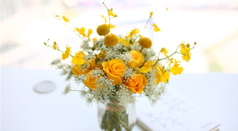 6372619664773021905595781.png 6372619664773021905595781.png